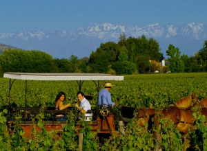 Ruta del Vino - Valle de Colchagua